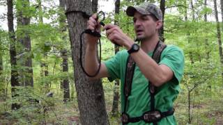 How to attach your harness to the tree [upl. by Lawford529]