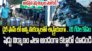 డైరీ ఫార్మ్ ప్రారంభించే వారికి షెడ్డు ఎలా నిర్మించుకోవాలనేదిLow Cost Dairy FarmShedKiran Tv Rythu [upl. by Flossi]