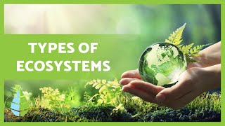 TYPES of ECOSYSTEMS and their DEFINITION 🏜️🏙️🌅 [upl. by Ailaro]