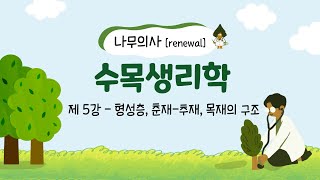 Renewal 나무의사 수목생리학  제5강 형성층 춘재추재 목재의 구조 [upl. by Lilia]