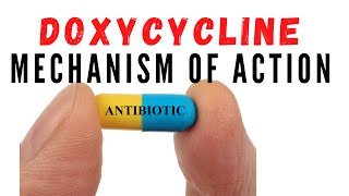 Doxycycline uses against acne and chlamydia  Mechanism of action [upl. by Trabue]