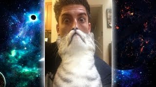 EPIC CAT BEARD [upl. by Bozovich]