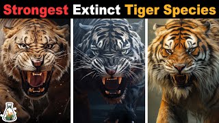 6 Most Powerful Extinct Tiger Species [upl. by Rodolphe]