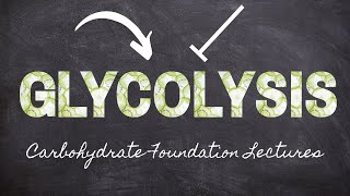 Regulation of Glycolysis  Part 10 Carbohydrate Foundations  Macronutrients Lecture 56 [upl. by Hewie]