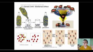 Microevolution Through Genetic Drift [upl. by Sindee128]