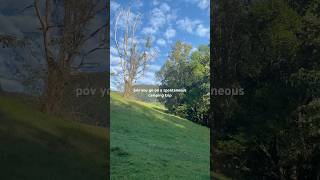 Best camping near Sydney ⛺️ australia camping sydney wildlife nature [upl. by Smail664]