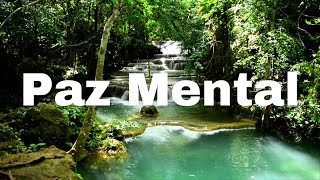 O melhor Remédio para Ansiedade  Musica para Relaxar e Tranquilizar  Sons Relaxantes da Natureza [upl. by Mohorva]