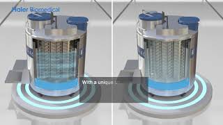 Haier Biomedical Stainless Steel Liquid Nitrogen Container [upl. by Olifoet]