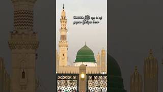 Shona ﷺ aya te saj gaye ne galiyan bazar eidmiladunnabi newnaat shortvideo shorts status new [upl. by Damian]