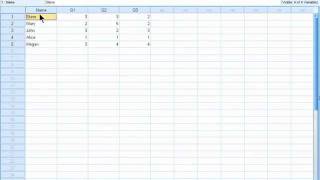 SPSS 19 Training  Switching Between Data and Variable Views [upl. by Vachel]