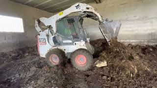 AWESOME BOBCAT Skid steer loader working NICE Operator  BOBCAT S175 [upl. by Celisse]