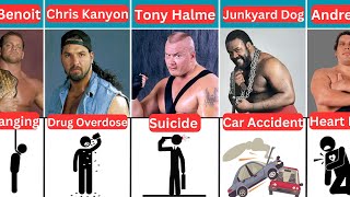 How Famous WWE Wrestlers Died 2024 [upl. by Nahtnaoj]