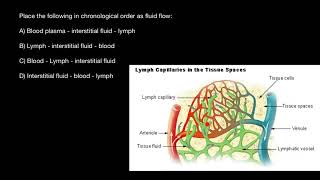 Blood plasma lymph and interstitial fluid flows explained [upl. by Lebasiram]