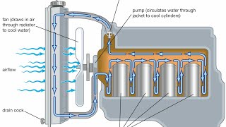 CAR ENGLINE COOLING SYSTEM amp HOW DOES IT WORK automobile car knowledge [upl. by Lipkin]