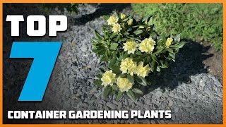 7 Best Plants for Container Gardening Beginners Must Try [upl. by Golub]