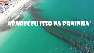 em Arraial do Cabo 310824 [upl. by Nueormahc]