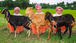 Food For Homeless Beday Ethnic Group  3 Full Goat Mutton Biryani For Nomadic People By 3 Grandpa [upl. by Niggem240]