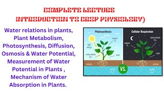 Crop Physiology Water relations Plant Metabolism Photosynthesis  diffusion Osmosis [upl. by Kathlene381]