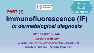 Immunofluorescence IF in dermatological diagnosis part 1 [upl. by Rusticus]