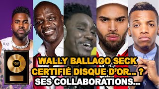 Wally B SECK Disque dOR Natural Love  CHRIS BROWN AKON JASON DORULO TEKNO [upl. by Meehyr]