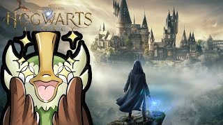 Hogwarts Legacy Deutsch Lets Play 20 Avada Kedavra [upl. by Yks591]