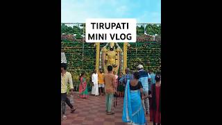 TIRUMALA DIARY 2024 trendingshorts tirupati tirumala [upl. by Godewyn74]