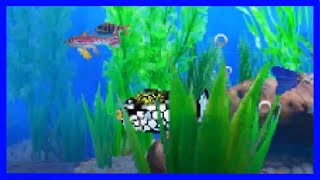 Fish Tycoon Gameplay Nintendo DS [upl. by Spears]