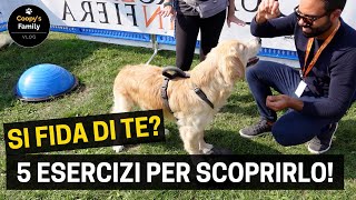 IL TUO CANE SI FIDA DI TE 5 ESERCIZI FACILI PER SCOPRIRLO [upl. by Eener]