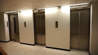 Awesome Schindler Dseries modernized traction elevators  Henrik Ibsens gate 90 Oslo Norway [upl. by Atterual]