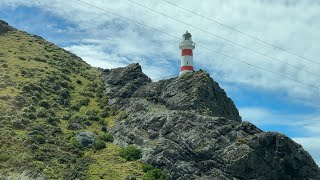 Drive to Cape Palliser Wellington [upl. by Gabbey]