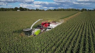 Heifer Haven Farms LLC Corn Chopping 2024 [upl. by Yenaffit]