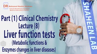 Clinical chemistry  Lecture 8 LFTs Metabolic functions amp Enzymes  Clinical Pathology Course [upl. by Eicarg]