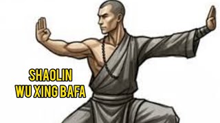 Shaolin Wu Xing Bafa  Shifu Kanishka [upl. by Leahcimnhoj125]