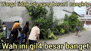 PENGHUNI RUMAH HISTER1S SAAT MELIHAT SOSOK MENGER1KAN MASUK KE DALAM RUMAH TERTANGK4P DI BAWAH MOBIL [upl. by Adeehsar]