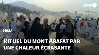 Hajj marée de fidèles au mont Arafat sous une chaleur extrême  AFP [upl. by Barbur148]