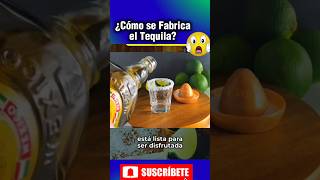 😱¿Cómo se Fabrica el Tequila wow tequila mexico méxico mexicanfood curiosidades [upl. by Ajnek972]