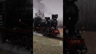 christmas comingseason steamtrain love sisters [upl. by Ainsworth]