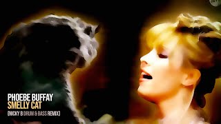 Phoebe Buffay  Smelly Cat Nicky B Drum amp Bass Remix [upl. by Blisse]