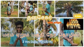 DoHobby  Coconut Tree Climbing  2 hrs work  2500 Daily is it  Farmer India [upl. by Apostles169]