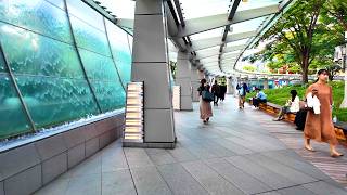 【４Ｋ60】 東京 Tokyo Walk Roppongi 【六本木 】 Roppongi Hills ♥ Relaxing City Ambience ♥ Japan Travel 2024 [upl. by Ahseirej165]