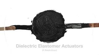 The Basics of Dielectric Elastomers [upl. by Franciska]