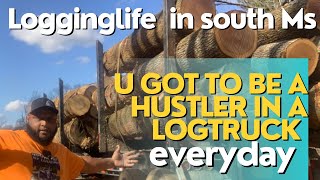 Logginglife in south Ms Do you have what it takes to drive a Logtruck [upl. by Daryle]