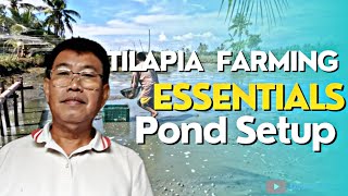 TILAPIA FARMING ESSENTIALSWEEDS CUTTING FENCING PONDS AND CATCHING TILAPIA [upl. by Gnni]