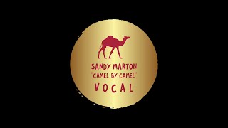 SANDY MARTON Camel By Camel Vocal [upl. by Jaquenette]