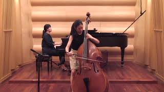 Dittersdorf Concerto for Double Bass in E Major III Allegro [upl. by Noillimaxam]