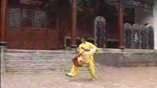 Chen Taijiquan Double Broadsword [upl. by Emanuel]