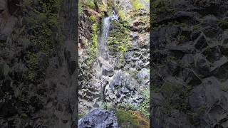 Cabin Creek Falls Oregon [upl. by Lesli]