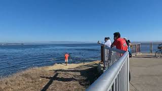 😮At the beach Santa Cruz California🥵beach surfing [upl. by Atnauq]