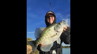 My CRAPPIE baits for catching SLAB CRAPPIE over TWO POUNDS [upl. by Boleslaw155]