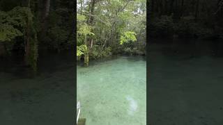 Ponce De Leon Springs Florida [upl. by Willi]